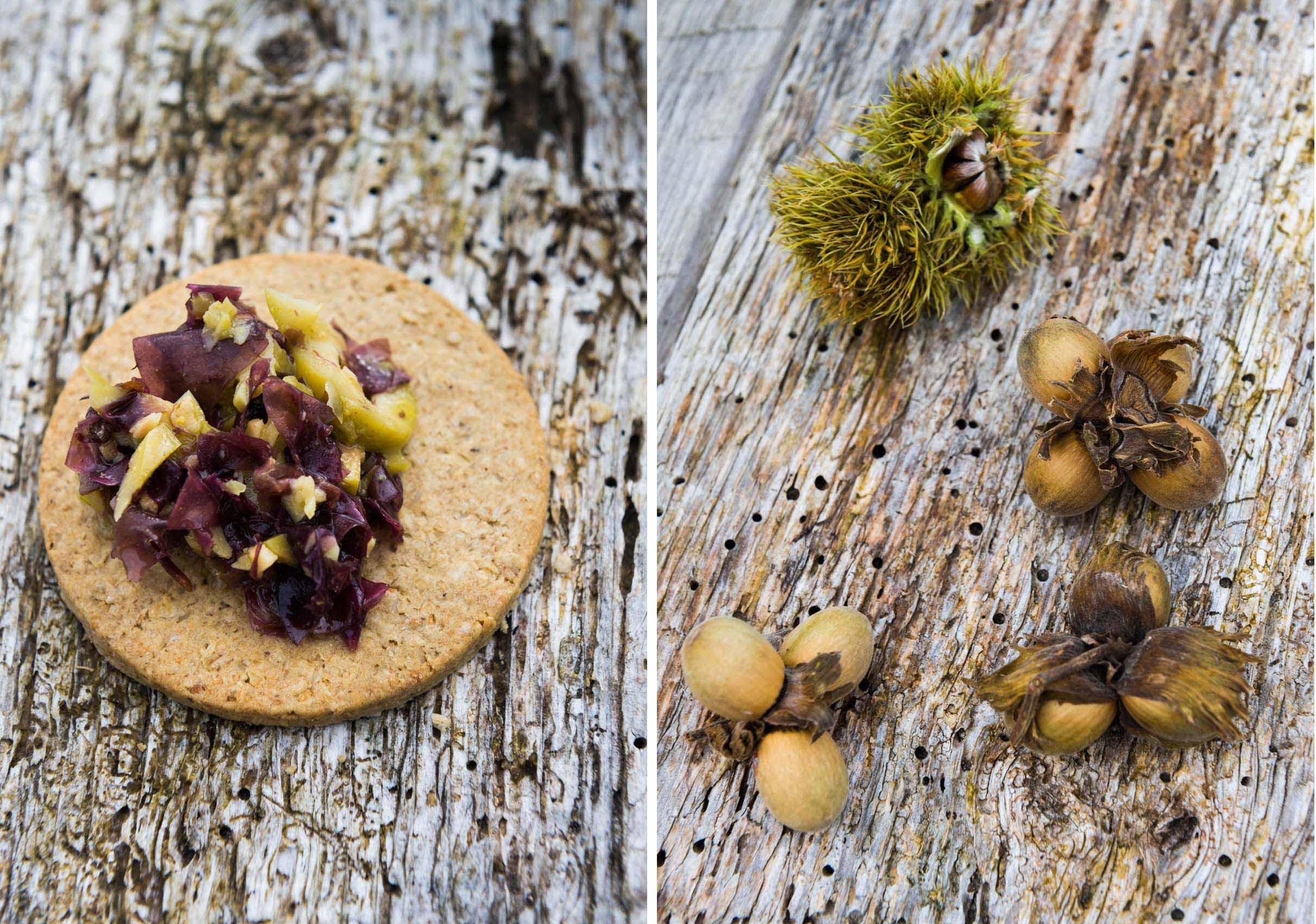 O18-440 foraged foods, the Burren, Ireland
